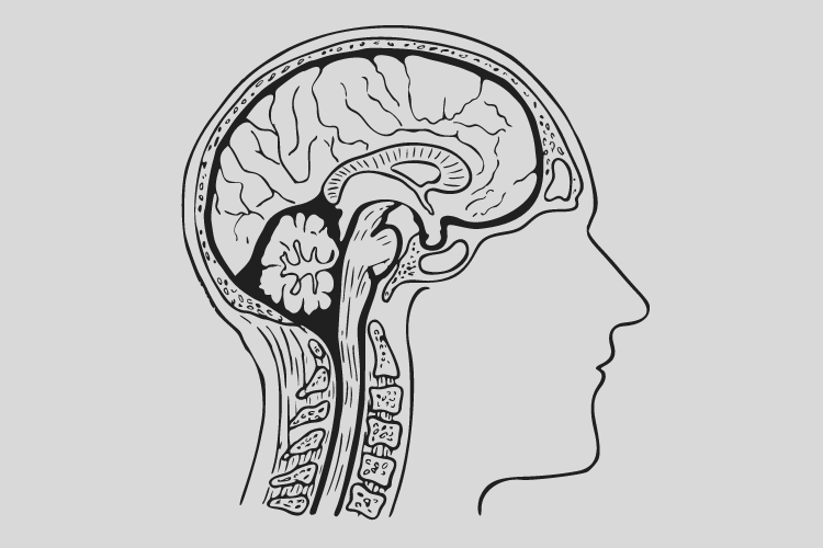 Лечение когнитивных расстройств при сосудистых заболеваниях головного мозга uMEDp